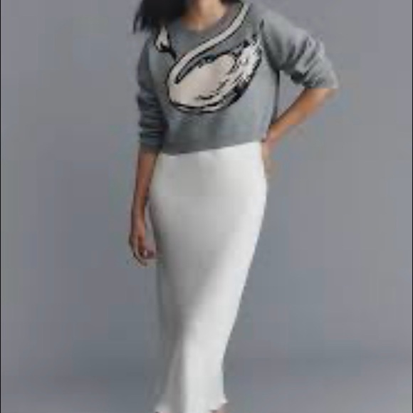 Anthropologie Gray Sweater with Cream Swan Graphic twofer dress midi new M - Picture 2 of 7